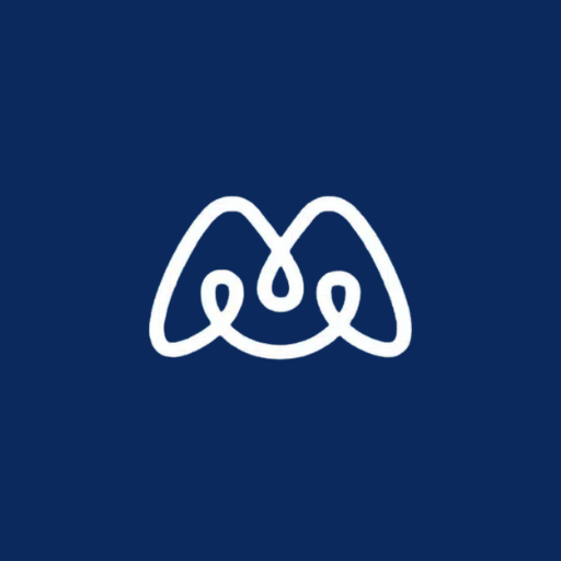 Favicon levauto (5)